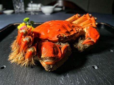 33 Must-Know Hairy Crab Facts in Singapore (2023)