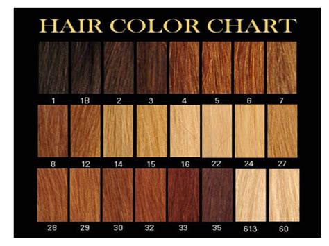 33 Shades of Brown-Black Hair Color: A Comprehensive Guide