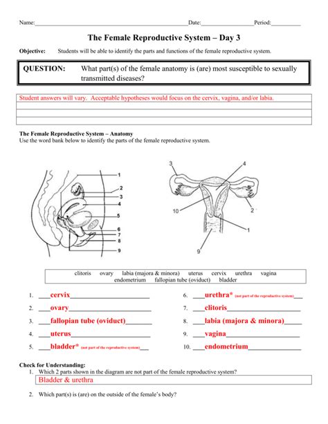 34 3 the reproductive system worksheet answer key Doc