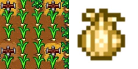 35 Garlic Stardew Tips to Harvest Bountiful Crops