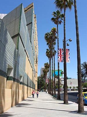 35 Museum Internships in Los Angeles That Will Elevate Your Career