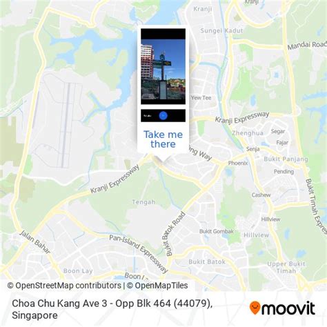 359 Choa Chu Kang Ave 3: A Comprehensive Guide to the Tranquil Lakeside Abode