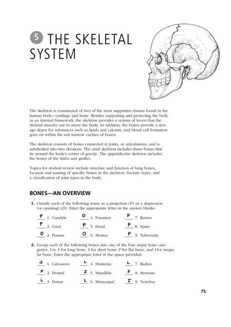 36 1 the skeletal system workbook answers Epub