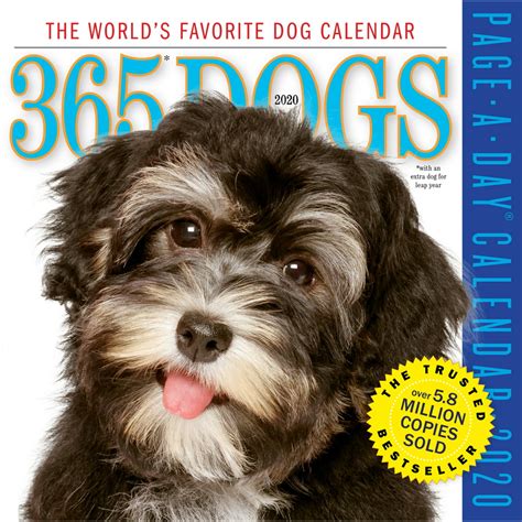365 dogs page day calendar 2020 Reader