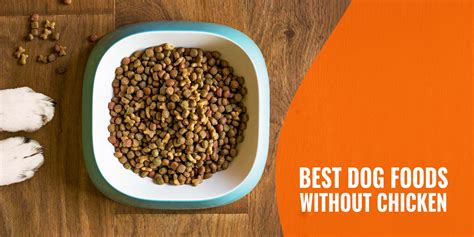 37 Best Puppy Foods Without Chicken: A Comprehensive Guide