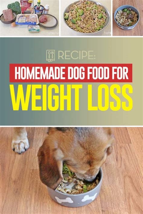 37 Weight Loss Foods for Dogs: A Comprehensive Guide