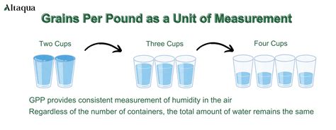 38,400 Grains to a Pound: Unlocking the Potential of Grains