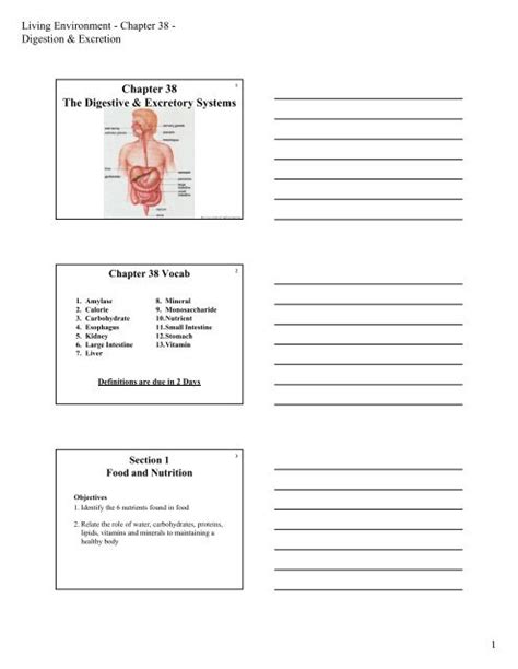 38 Digestive And Excretory Systems Answers PDF