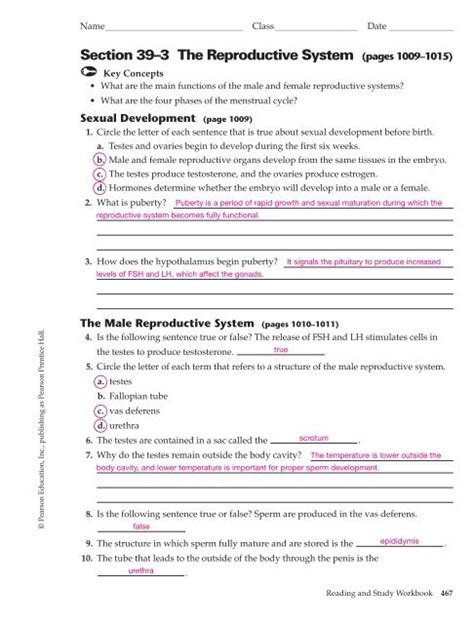 39 Endocrine Reproductive Systems Answer Key Epub