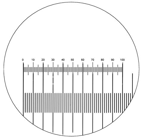 3in/mm: The Ultimate Guide to Microscopic Measurement