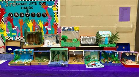 3rd grade ecosystem diorama Reader