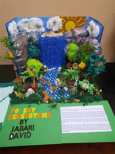 3rd grade ecosystem diorama project PDF