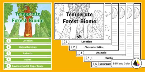 3rd grade forest ecosystems Kindle Editon