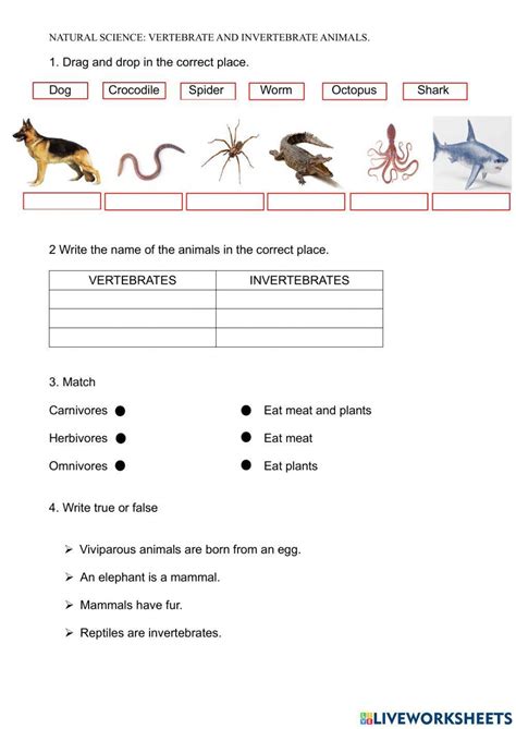 3rd grade passages about invertebrates ebooks pdf free Kindle Editon