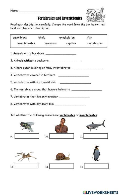 3rd grade passages about invertebrates ebooks pdf free Ebook Doc