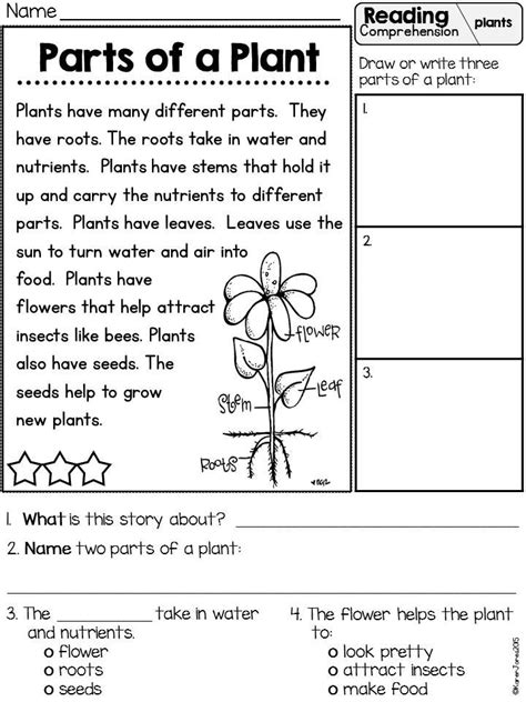 3rd grade passages about plants Kindle Editon