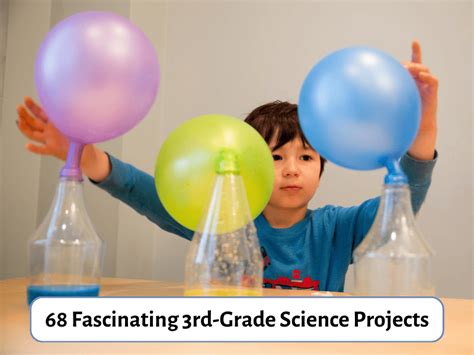 3rd grade science projects dimensional PDF