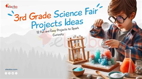 3rd grade science projects examples Reader