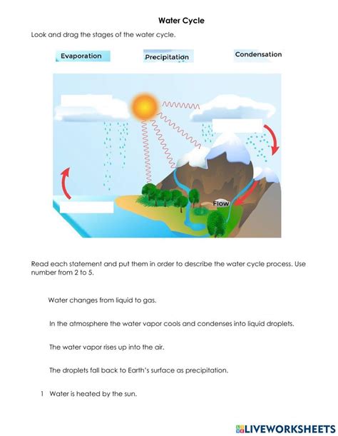 3rd grade test on water cycle Reader
