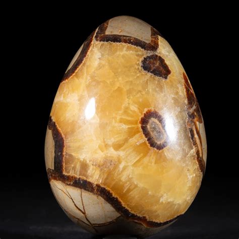 4,862 Surprising Septarian Egg Fascinations & Uses