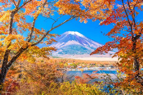 4 個富士山車站不容錯過的必遊景點