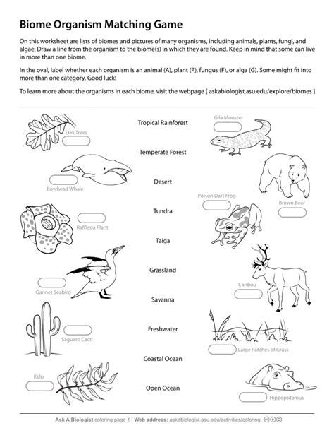 4 3 Biomes Answers PDF