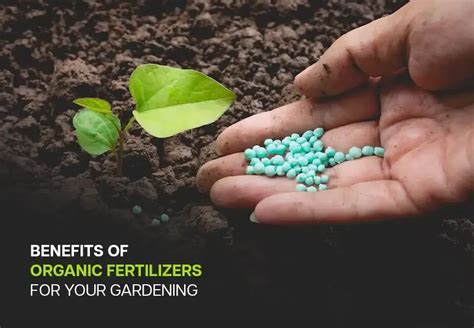 4 Benefits of Using Pellet Fertilizers