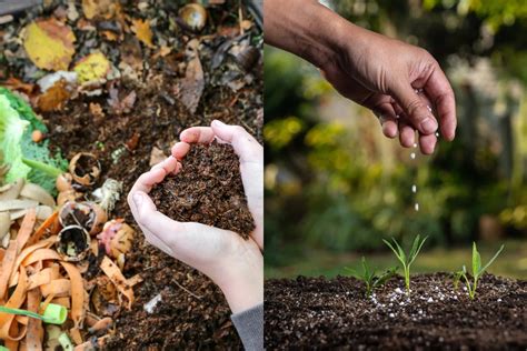 4 Effective Strategies for Using Fertilizer and Compost