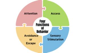 4 Functions of Behavior in ABA: Understanding the Why Behind Behaviors