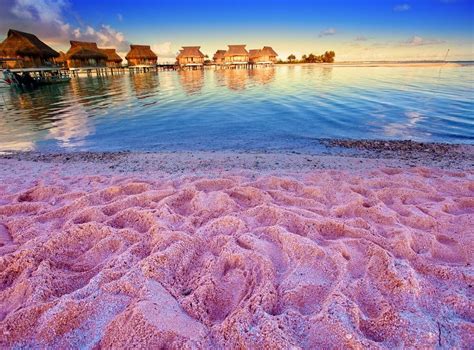 4 Interesting Facts About the Pink Sand Beaches of the Bahamas