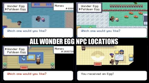 4 Key Differences Between Paldean and Wonder Eggs