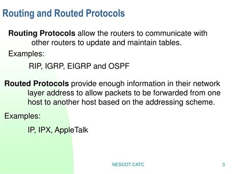 4 Key Routing Protocols and 6 Routed Protocols to Enhance Network Performance