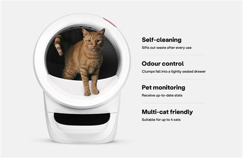 4 Litter-Robot Customer Personas and Profiles for 2025