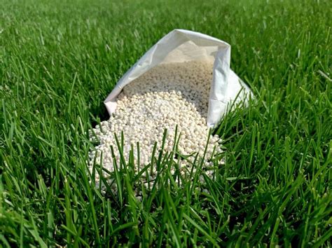 4 Steps to Increase Per-Acre Yields with Pellet Fertilizers