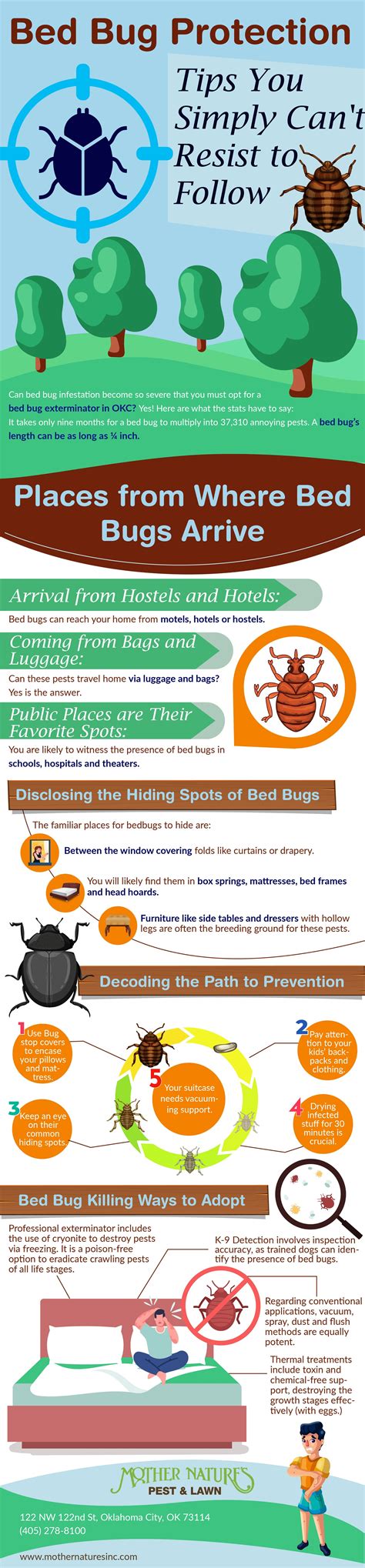 4 Things You Can Do to Avoid Bed Bugs