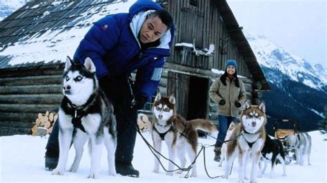 4 Unforgettable Films for Husky Lovers: A Cinematic Journey with Man's Best Friend