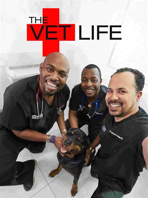 4 Vet Shows on TV That Will Warm Your Heart