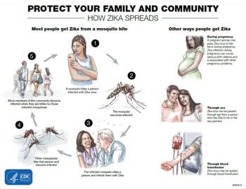 4 Ways Zika Virus Can Devastate Your Body