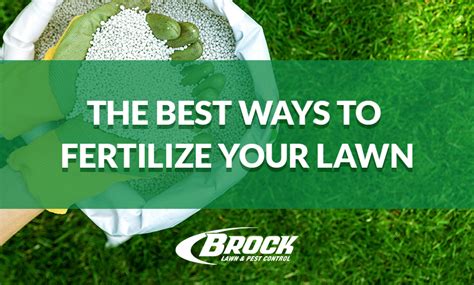 4 Ways to Fertilize Your Grass and Get the Greenest Lawn on the Block