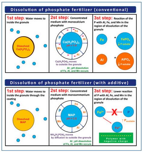 4 Ways to Increase Phosphate Fertilizer Efficiency