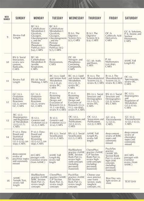 4-Month MCAT Study Plan: A Comprehensive Guide to MCAT Mastery