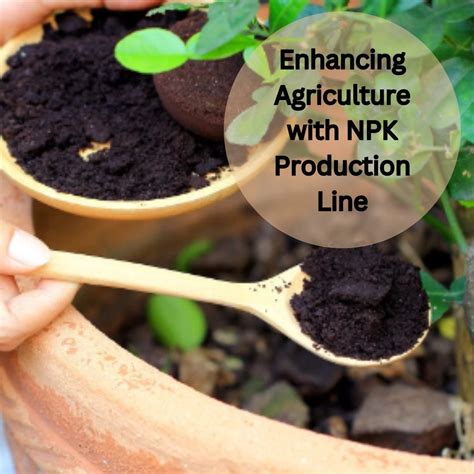 4-Step NPK Production Line: Enhancing Nutrient Efficiency for Agricultural Success