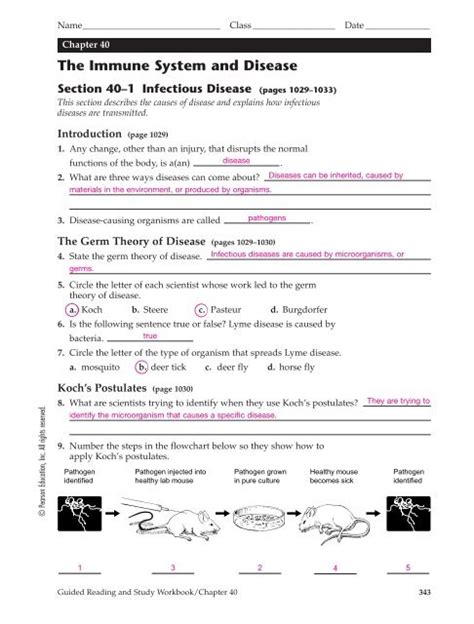 40 Immune System Disease Answer Key PDF