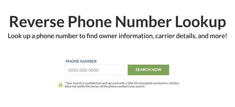 401 Phone Number Lookup: Delve into the World of Uncovering Caller Information