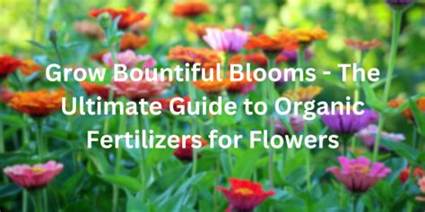 4012 Amazing Flowering Fertilizers: Unlock Bountiful Blooms!