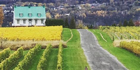 43% of Tourists Loved Isle of Orleans, Canada