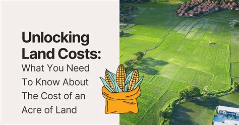 45 Acres of Endless Possibilities: A Guide to Unlocking Land's Value