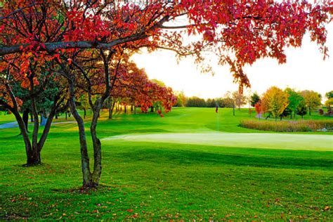 45 Breathtaking Holes at River Falls Golf Course: A Golfer's Paradise