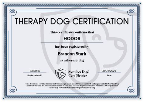 47 Amazing Facts About Emotional Therapy Dog Certification