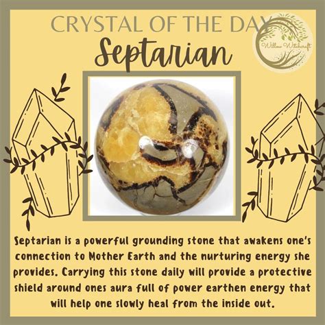 47 Septarian Crystal Facts: An In-Depth Guide to Its History, Healing Properties, and Applications